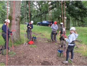 Family Tree Climbing Adventure