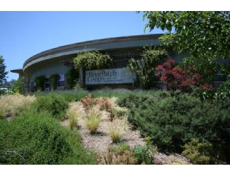 Briar Patch Gift Certificate