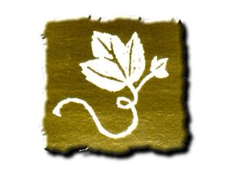 Ivy Photograhy - Family Portrait Session and 8x10 Print