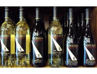 Lucchesi private wine tasting and appetizers for 8