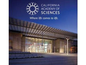 Science & Art - California Academy of Sciences & deYoung Art Museum