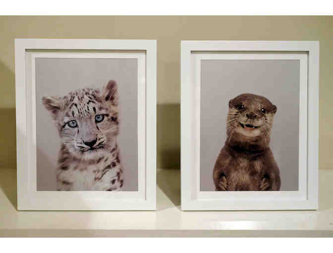 SF Animals: SF Zoo tickets and fun animal prints from UK Art