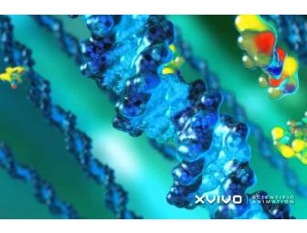 Spend the day with Michael Astrachan, Owner Scientific Animation Company - XVIVO