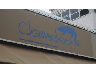 Wash and Cut at Chameleon Salon