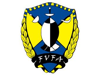 Introductory Fencing Lesson for 2 people