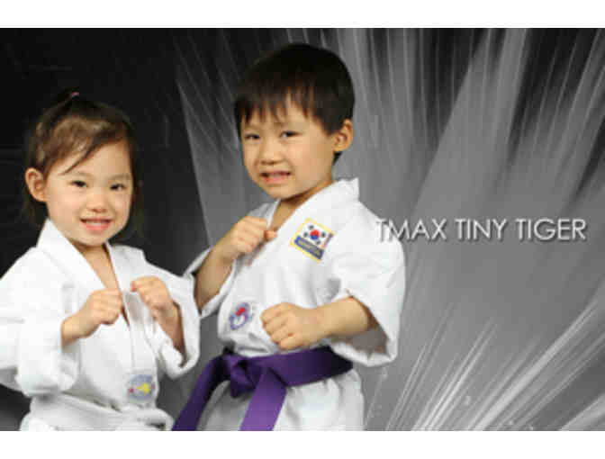 1 Month Taekwondo Lessons  (San Marino or Pasadena Studio)