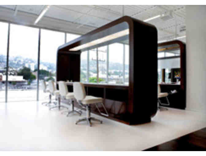 Hair Color with Mark Stephens at Sally Hershberger LA