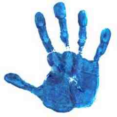 Carrousel Properties LLC