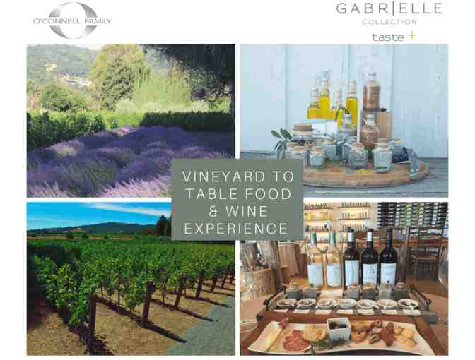 Napa Valley Indulgence