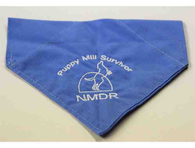 Harley's Puppy Mill Awareness Scarf/Bandana