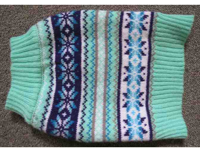 Harley's Turquoise Sweater