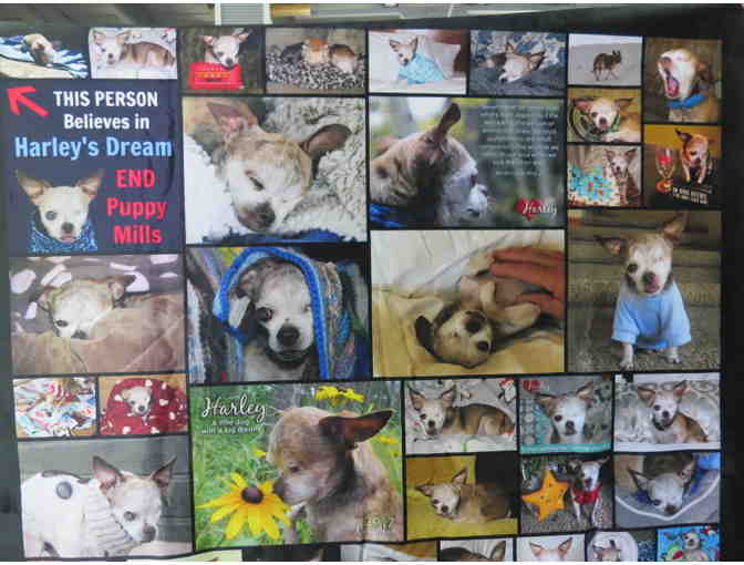 Harley Photo Collage Blanket 50' x 60'