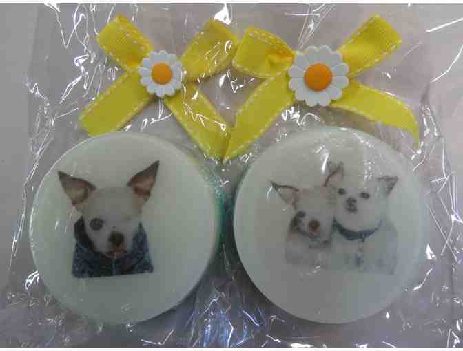 Soaps & Bath Bomb Set - with Harley & Teddy