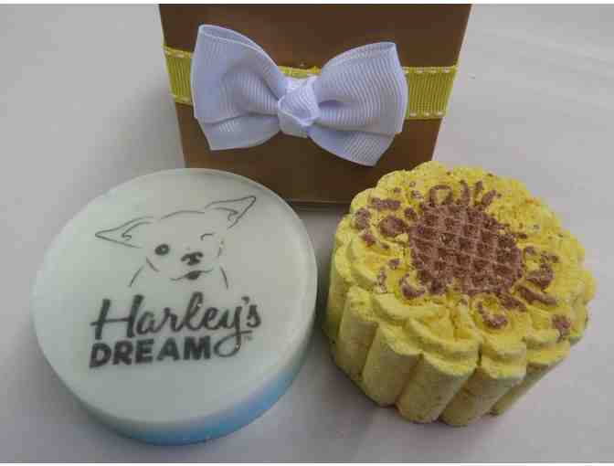 Soaps & Bath Bomb Set - with Harley & Teddy