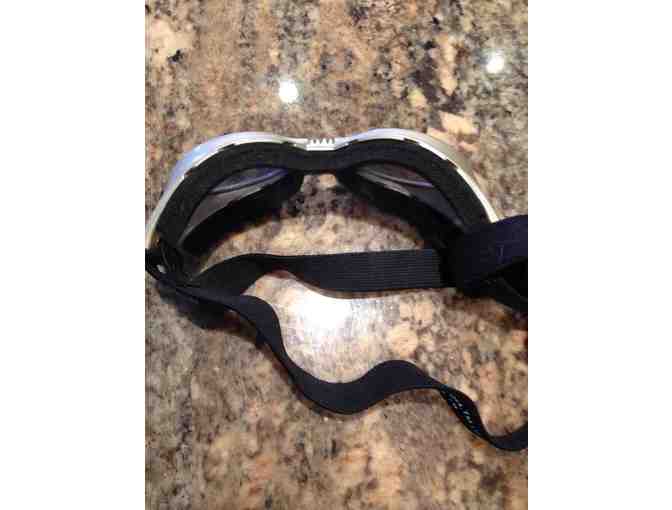 Doggles - Sunglasses for your dog!