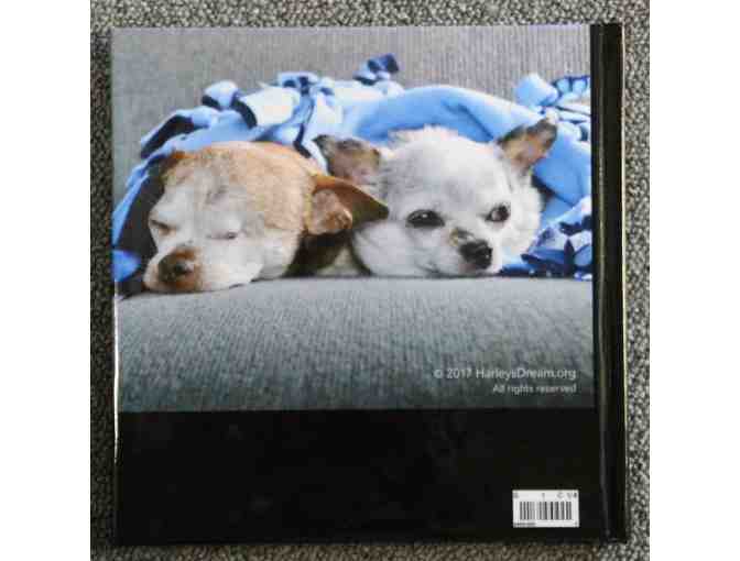 Harley & Teddy - Photo Book