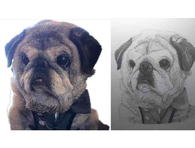 Custom Pet Portrait - Pencil Drawing of YOUR PET!