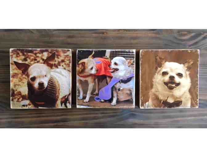 Encaustic Series - The Dynamic Duo