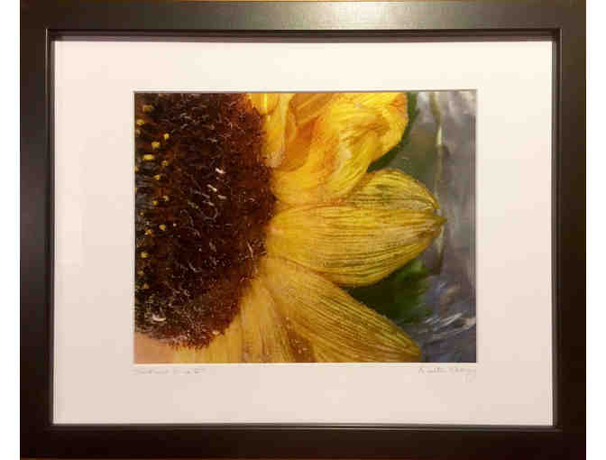 Sunflower in Ice - Framed Photograph