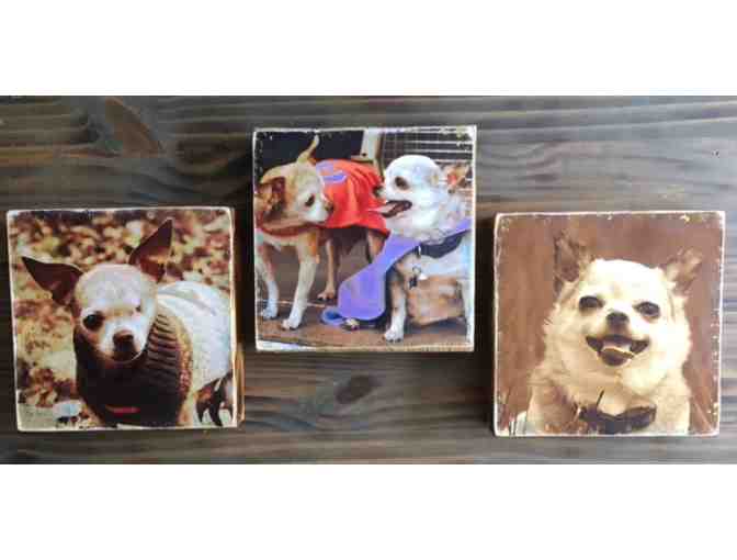 Encaustic Series - The Dynamic Duo