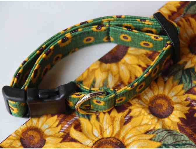 Custom Sunflower Dog Collar and Scarf