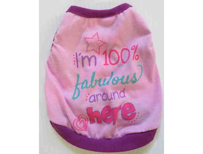 Collection of Mia Bryant-Bedard's Clothing (Princess Ava's sister)