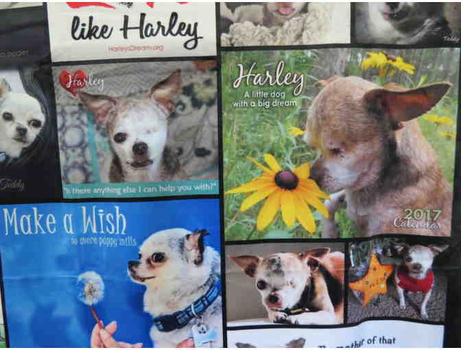 Collage of Photos Sherpa Throw w/Harley & Teddy