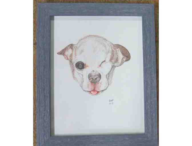 Original Drawing of Harley