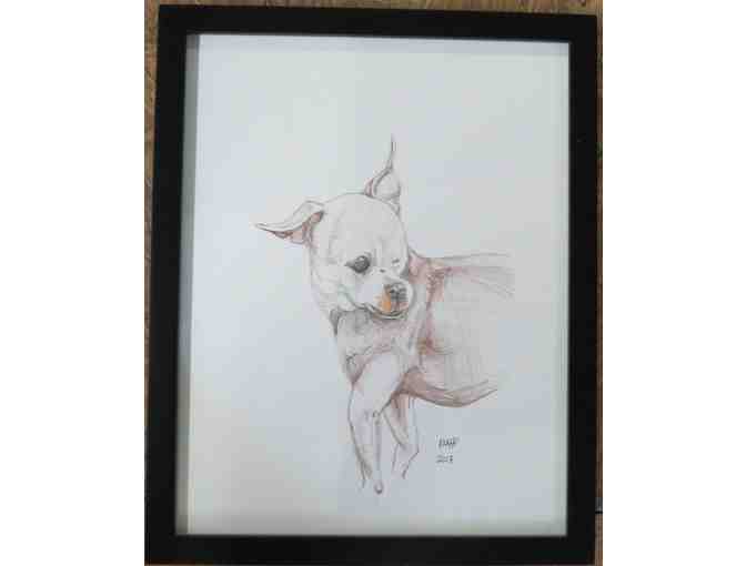 Original Drawing of Harley - Framed
