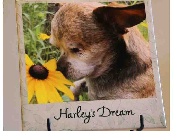Ceramic Photo Tile with Easel - Harley and the Sunflower