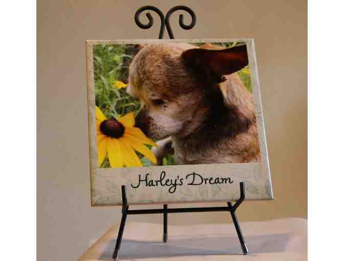 Ceramic Photo Tile with Easel - Harley and the Sunflower