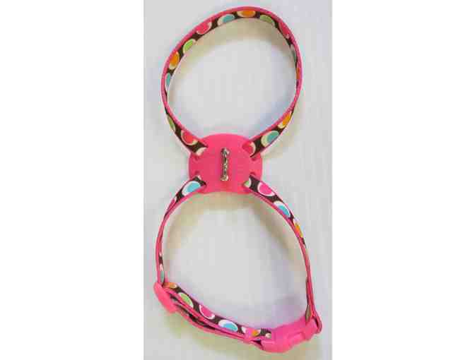 Collection of Mia Bryant-Bedard's Clothing (Princess Ava's sister)