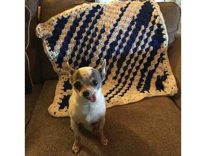 Blue & White Crocheted Blanket - Teddy Inspired