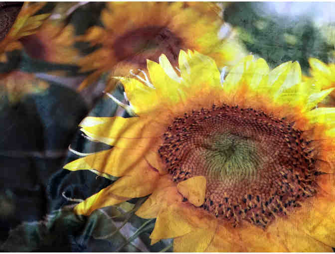 Fleece Photo Blanket - Sunflowers