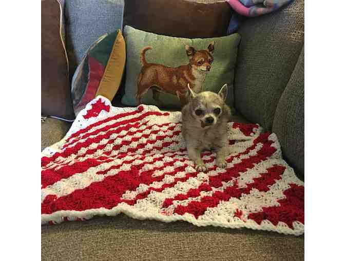 Red & White Crocheted Blanket - Harley Inspired
