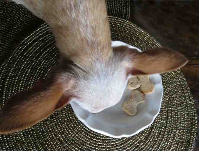 LICKED by Fernando! Peanut Butter / Applesauce Treats for Dogs