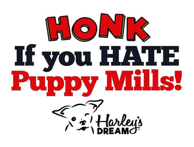 Event - Protest - Yard Signs (set of 8)