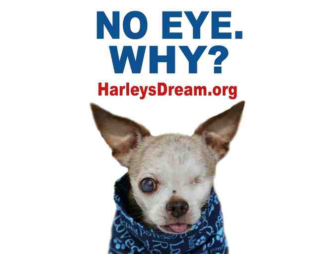 Event - Protest - Yard Signs (set of 8)