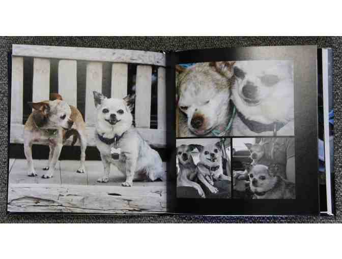 'Harley & Teddy' - Beautiful Photo Book