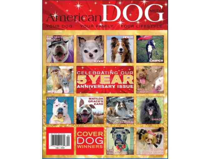 Magazine - American Dog - Article about Teddy