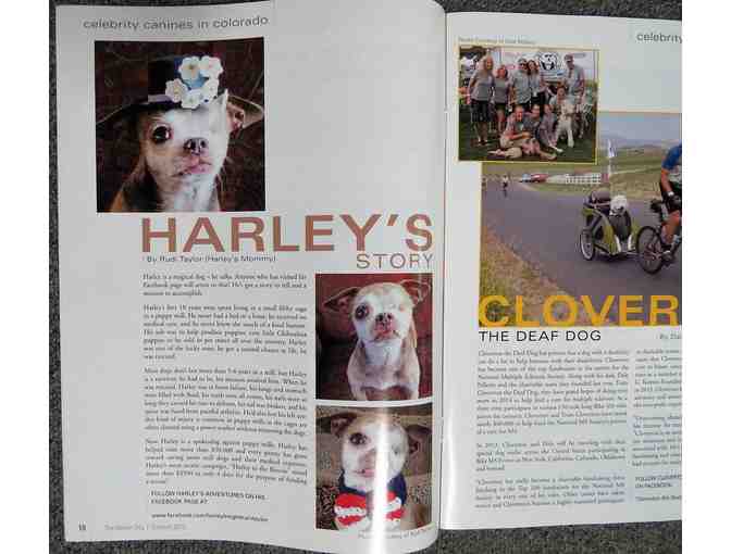 Magazine - Denver Dog - Article about Harley
