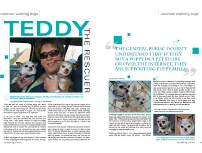 Magazine - Denver Dog - Article about Teddy
