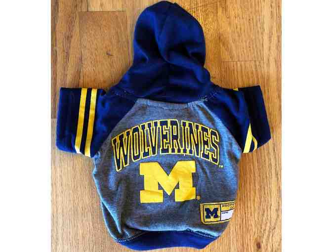 Harley's Michigan Wolverines Hoodie (from our personal collection)