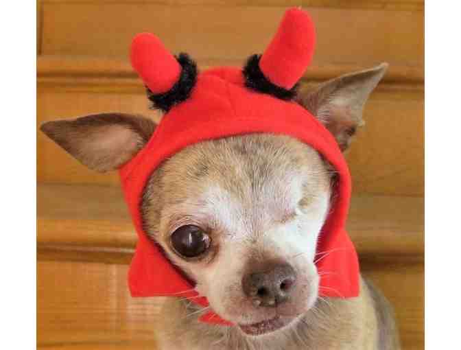 Harley's Devil Hat (from our personal collection)