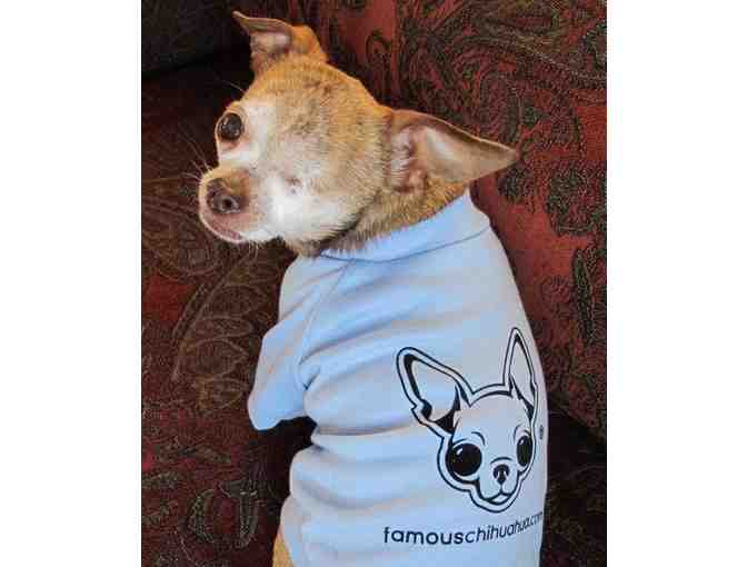 Harley's Famous Chihuahua Tee (from our personal collection)