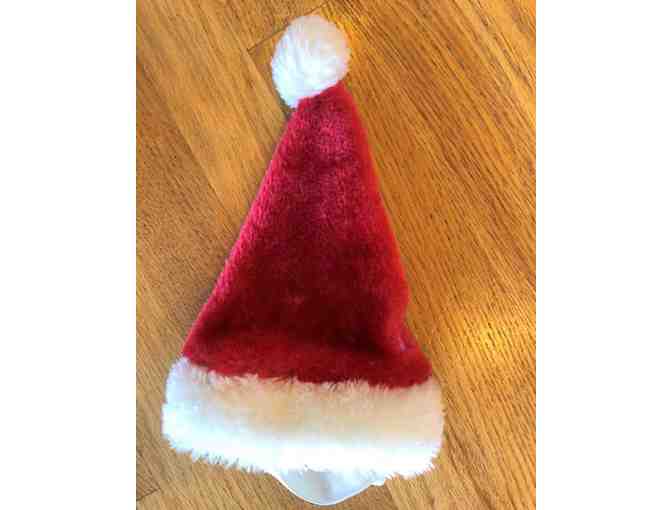 Harley's Santa Hat (from our personal collection)