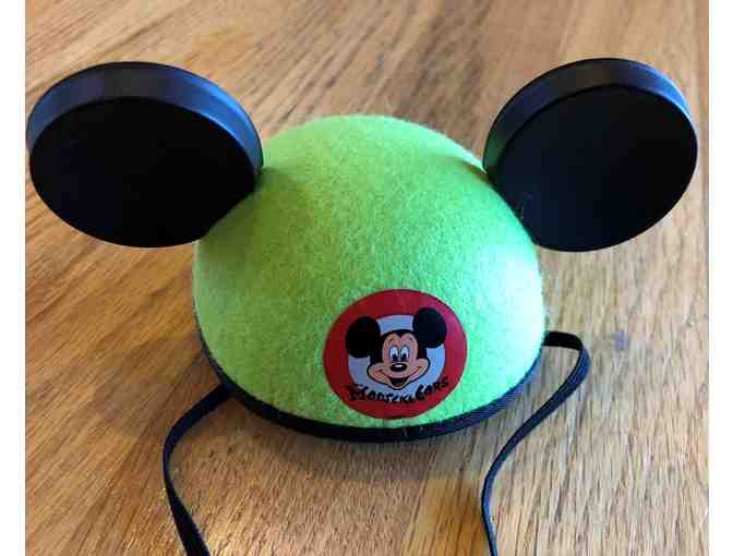 Harley's Mickey Mouse Ears (from our personal collection)
