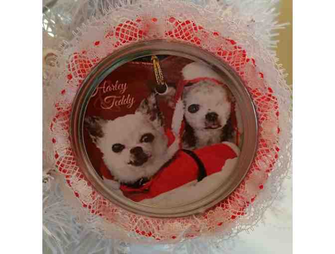 Ornament - Harley & Teddy