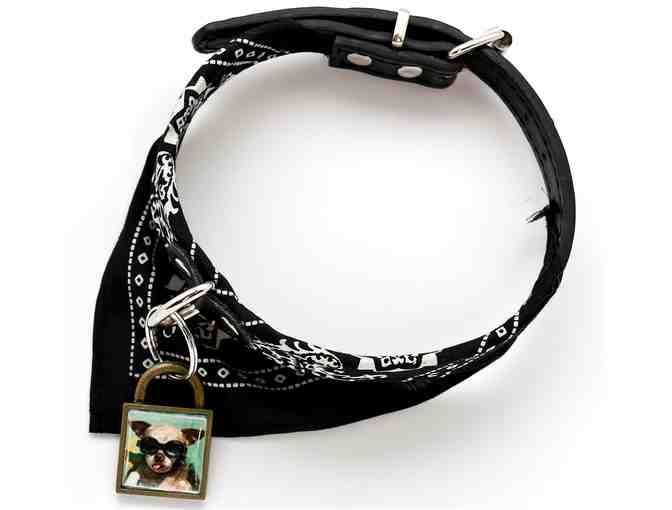 Bandana & 'Harley Charm' on Collar (Black)