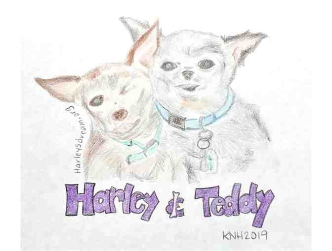 Sketch/Drawing of Harley & Teddy - Photo 1